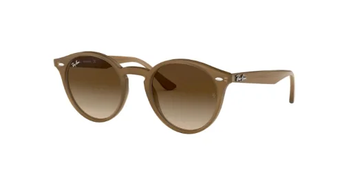 Ulleres Ray Ban 2180 616613 opticagracia.es