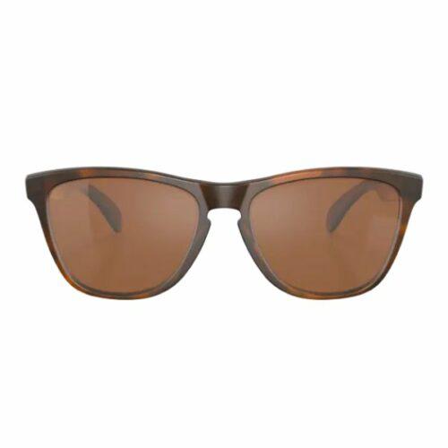 Gafas de sol Oakley 9013-C5 Frogskins – Image 3