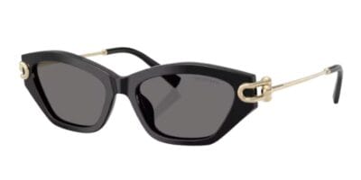 Gafas de sol TIFFANY&Co 0TF4231U 800181