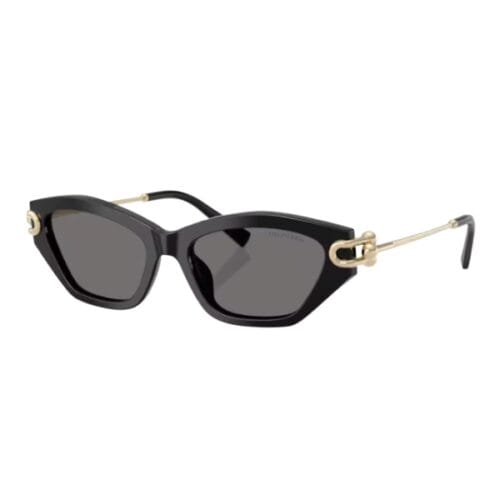 Gafas de sol TIFFANY&Co 0TF4231U 800181