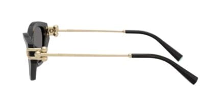 Gafas de sol TIFFANY&Co 0TF4231U 800181