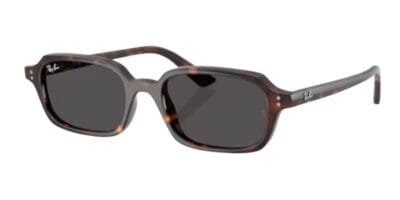 Gafas de sol Ray Ban 4455 135987- Zuri