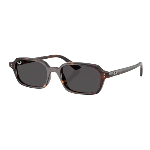 Gafas de sol Ray Ban 4455 135987- Zuri