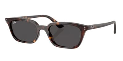 Gafas de sol Ray Ban 4456 135987- Zaya