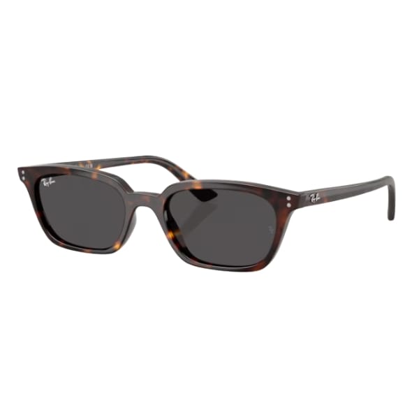 Gafas de sol Ray Ban 4456 135987- Zaya