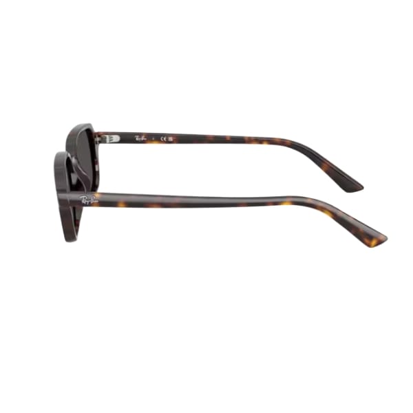 Gafas de sol Ray Ban 4455 135987- Zuri - Imagen 2